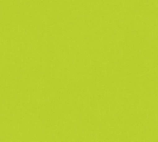 POP COLOR - Imagen 11