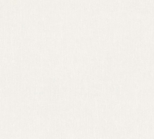 POP COLOR - Imagen 12