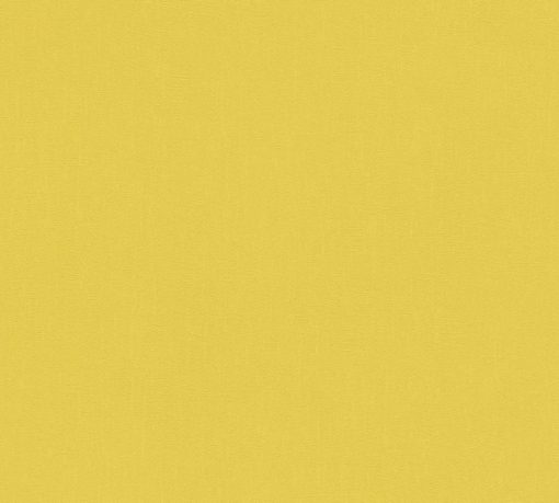 POP COLOR - Imagen 16