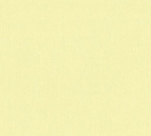 POP COLOR - Imagen 18