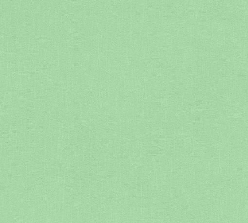 POP COLOR - Imagen 22