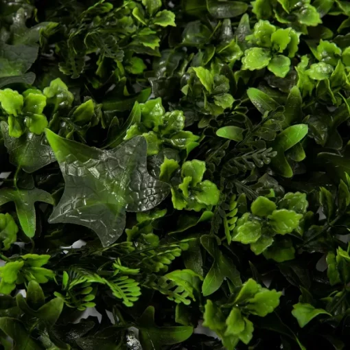 LIMA - Imagen 2